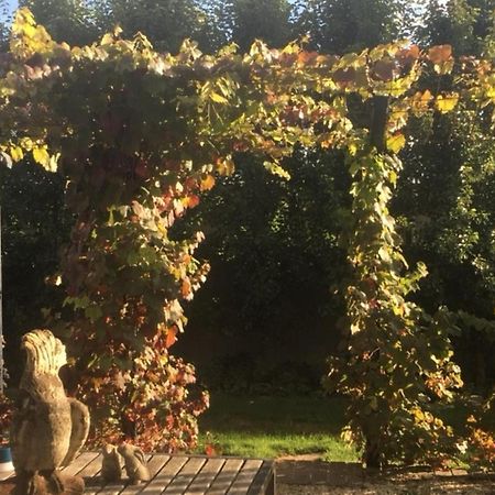 A'Meadow Bed & Breakfast Trentham ภายนอก รูปภาพ